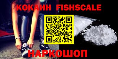 молекула духа Кингисепп
