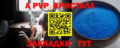 молекула духа Кингисепп