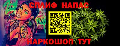 шишки Кинель