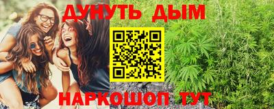 молекула духа Кингисепп