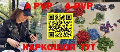 молекула духа Кингисепп