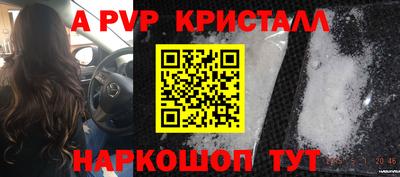 молекула духа Кингисепп