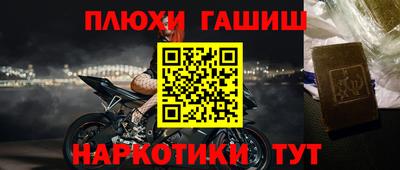 молекула духа Кингисепп