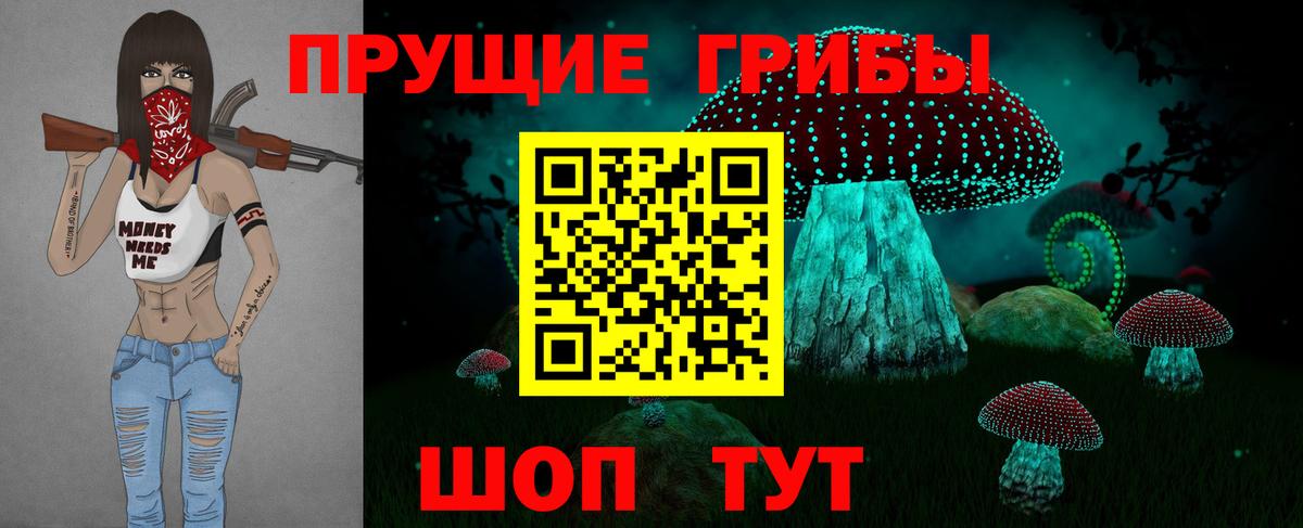 где продают наркотики  Псилоцибиновые грибы Psilocybe  Вход с VPN  Красноармейск  Псилоцибиновые грибы мицелий 